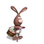 pogobunny