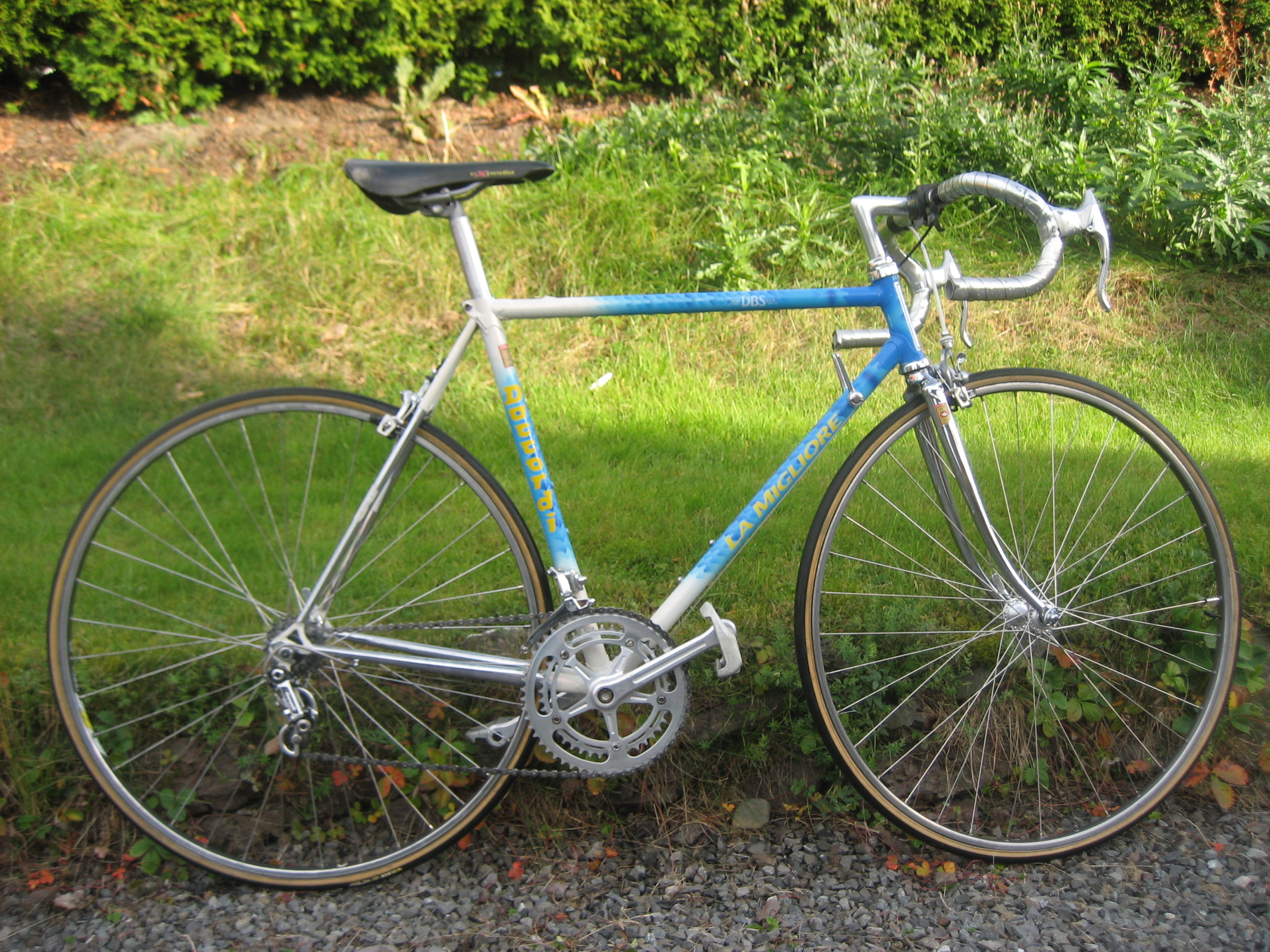 DBS LaMigliore Daccordi Steel